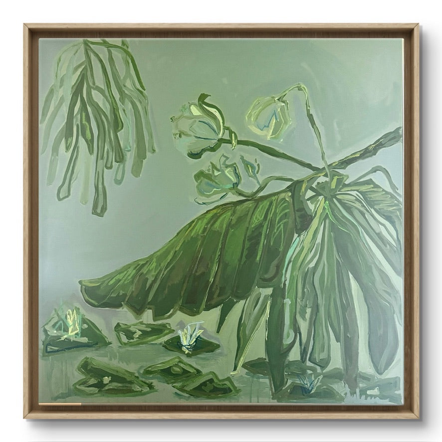 Fronds in Low Places